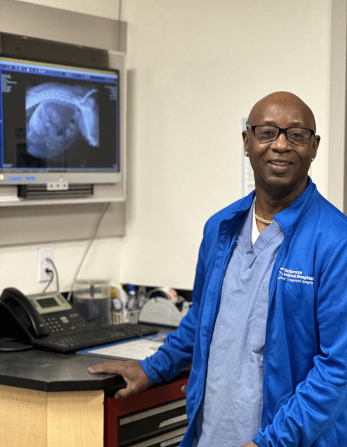 Veterinary Diagnostics