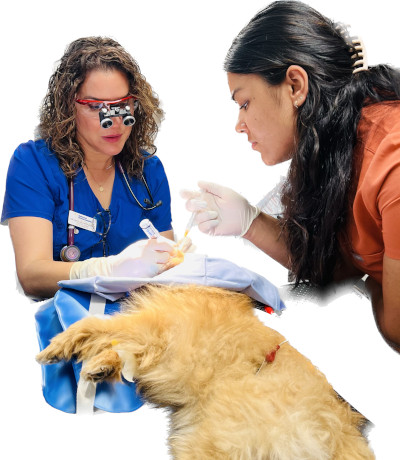 Ophthalmic surgeries