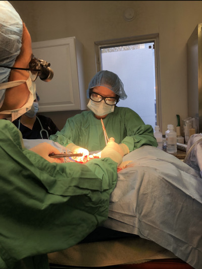 Veterinary Surgery